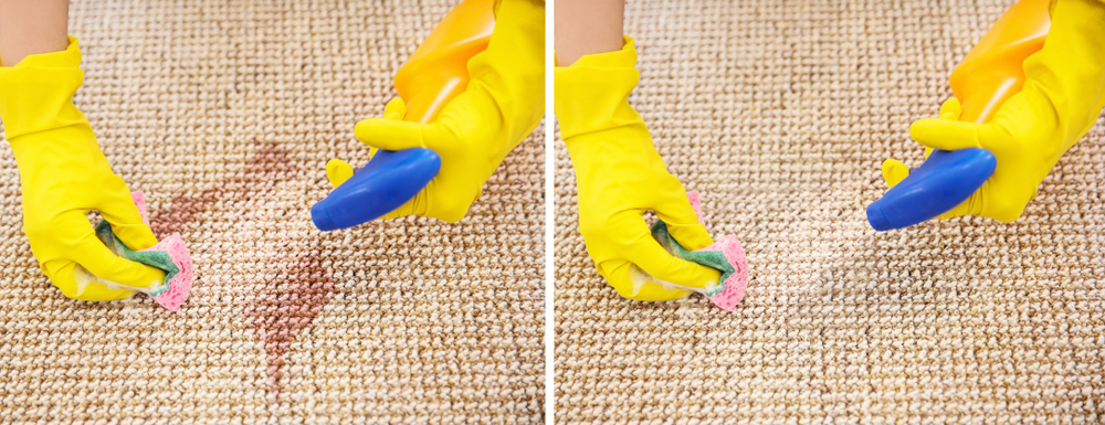 Carpet Cleaning Dandenong